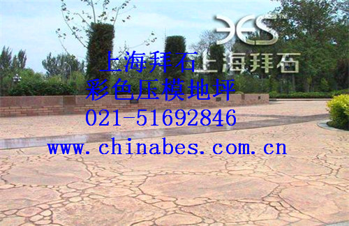 505316.jpg 505316.jpg