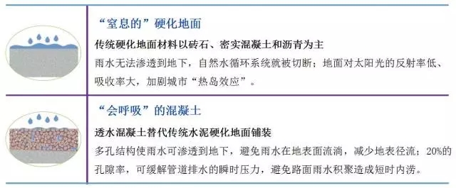 5.webp.jpg 5.webp.jpg