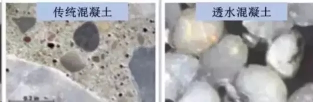 7.webp.jpg 7.webp.jpg