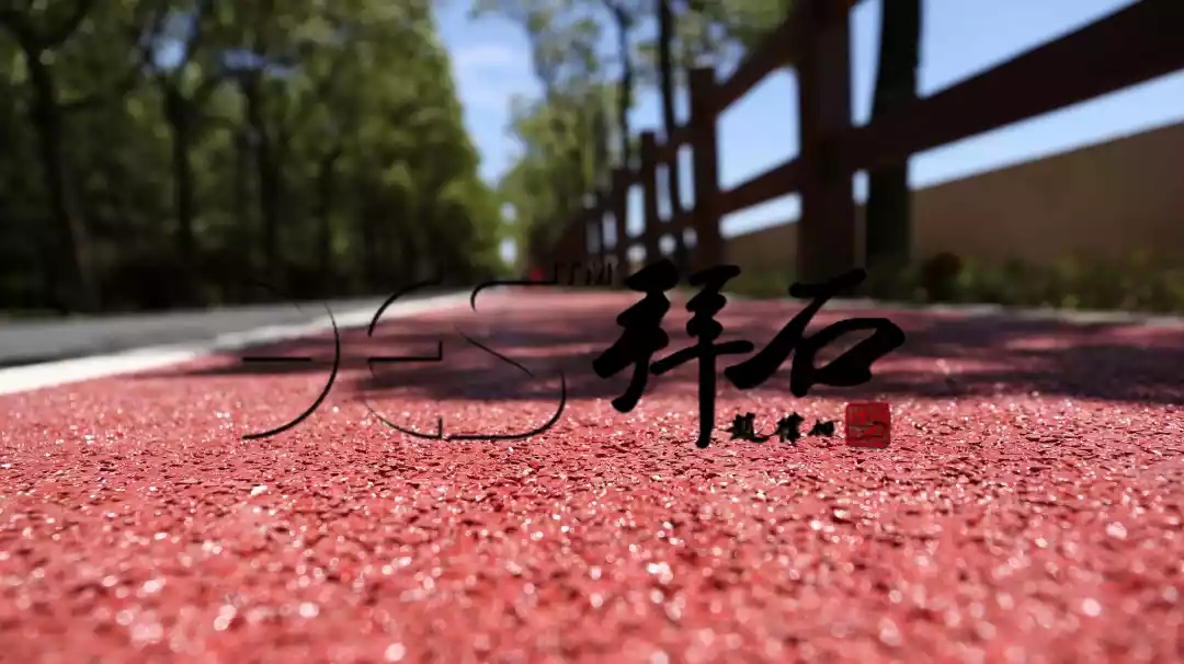 18.webp.jpg 18.webp.jpg