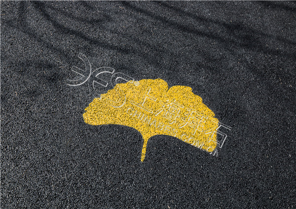 _MG_0970.jpg _MG_0970.jpg