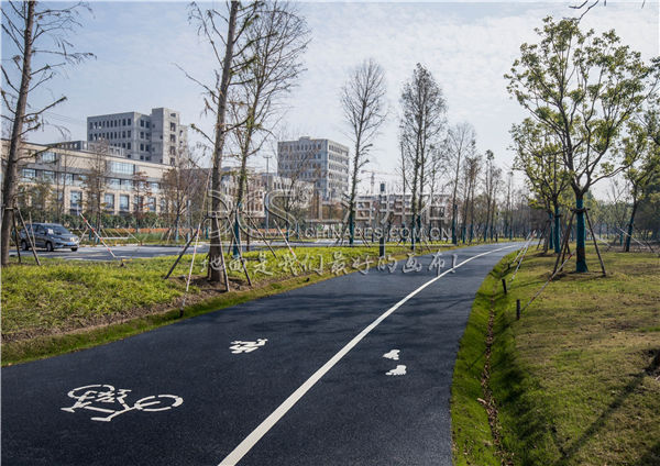 透水路面 透水路面