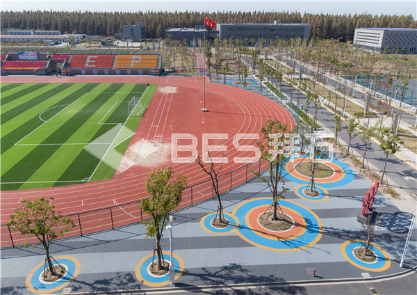 _M8A0008.jpg _M8A0008.jpg