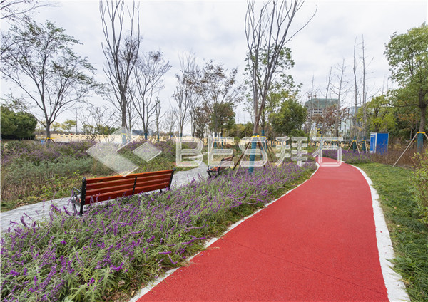 _MG_0351.jpg _MG_0351.jpg