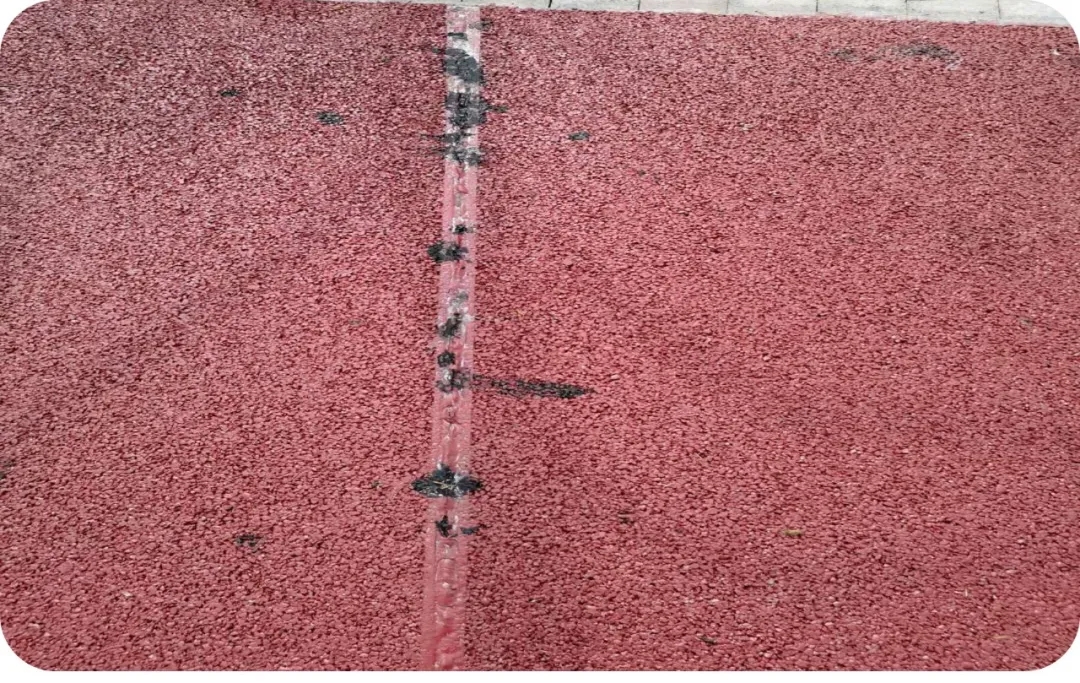 5.webp.jpg 5.webp.jpg