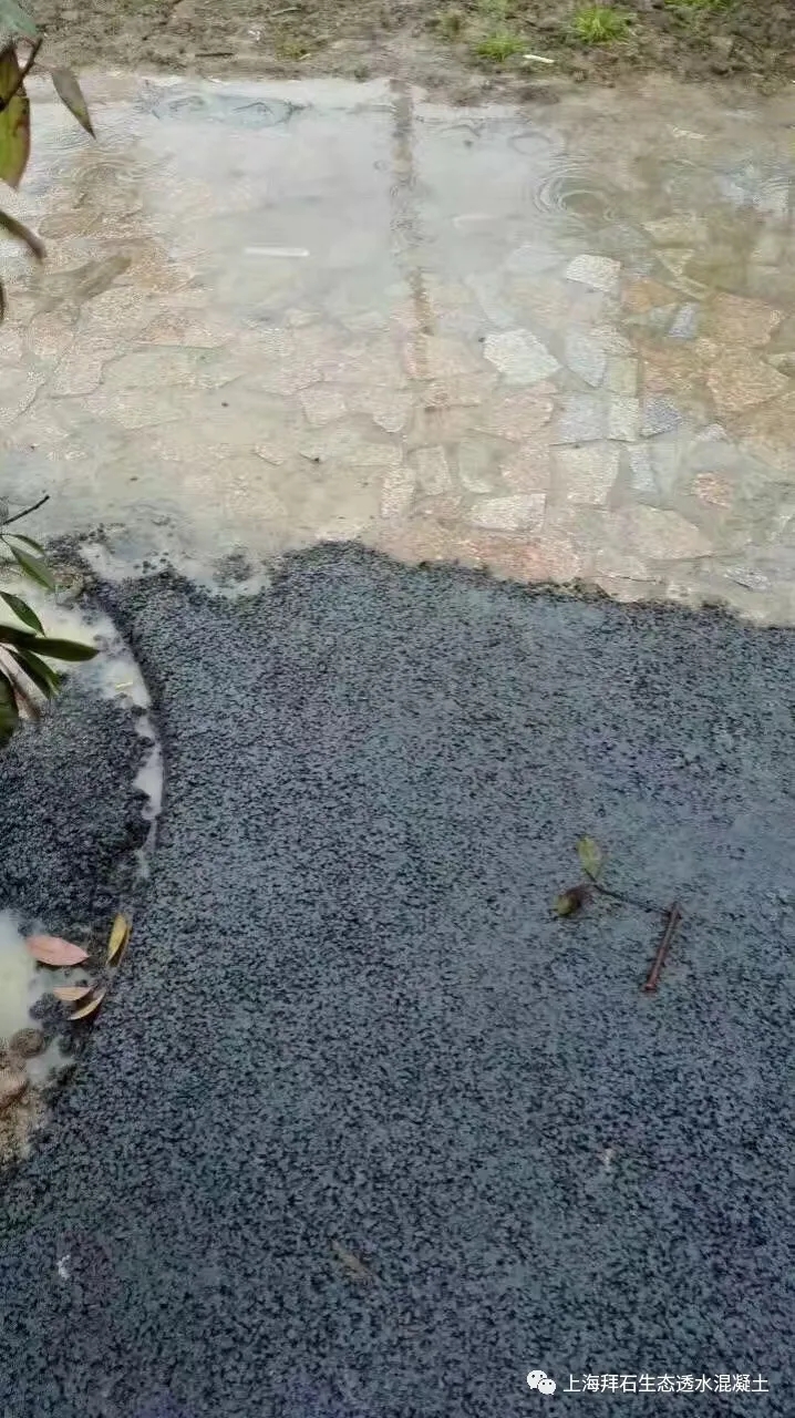 7.webp.jpg 7.webp.jpg