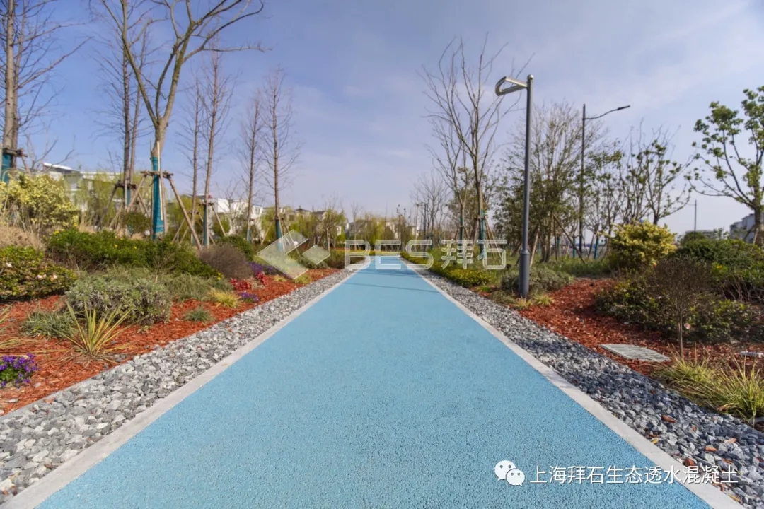 11.webp.jpg 11.webp.jpg