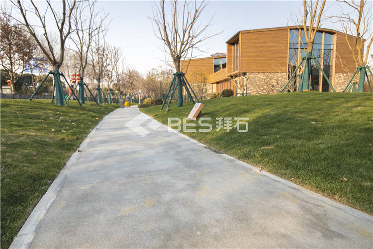 _MG_6367.jpg _MG_6367.jpg