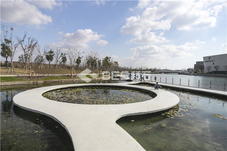 _MG_5258.jpg _MG_5258.jpg