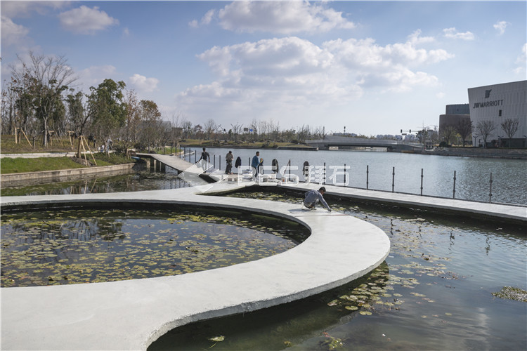 _MG_5259.jpg _MG_5259.jpg