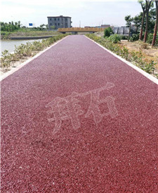 上海浦東老港透水地坪項目 上海浦東老港透水地坪項目