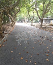 浙江大學西溪校區