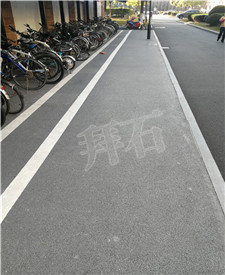 上海東華大學生態透水路面工程