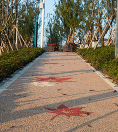 露骨料透水混凝土 露骨料透水混凝土