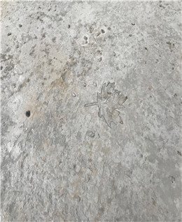 上海廣富林遺址公園壓花地坪項(xiàng)目 上海廣富林遺址公園壓花地坪項(xiàng)目