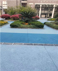 上海海洋大學透水路面項目
