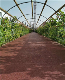 上海長寧政法大學二期透水地坪項目 上海長寧政法大學二期透水地坪項目