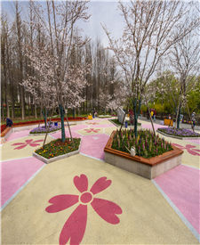 上海顧村公園露骨料透水混凝土項(xiàng)目 上海顧村公園露骨料透水混凝土項(xiàng)目