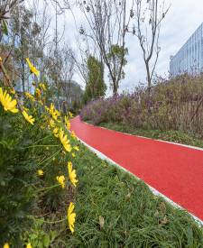 上海浦東張江海豚灣紅色透水混凝土項(xiàng)目 上海浦東張江海豚灣紅色透水混凝土項(xiàng)目