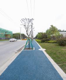 上海松江陶干路瀝青改色項目 上海松江陶干路瀝青改色項目