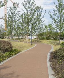 上海市奉賢區解放東路兩側綠地建設項目 上海市奉賢區解放東路兩側綠地建設項目