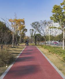 上海寶菊路紅色透水混凝土項目 上海寶菊路紅色透水混凝土項目